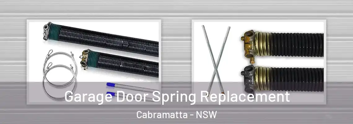 Garage Door Spring Replacement Cabramatta - NSW