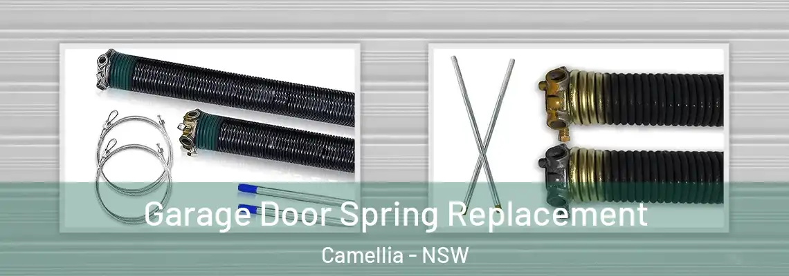 Garage Door Spring Replacement Camellia - NSW
