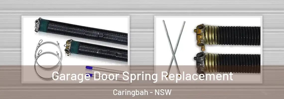 Garage Door Spring Replacement Caringbah - NSW