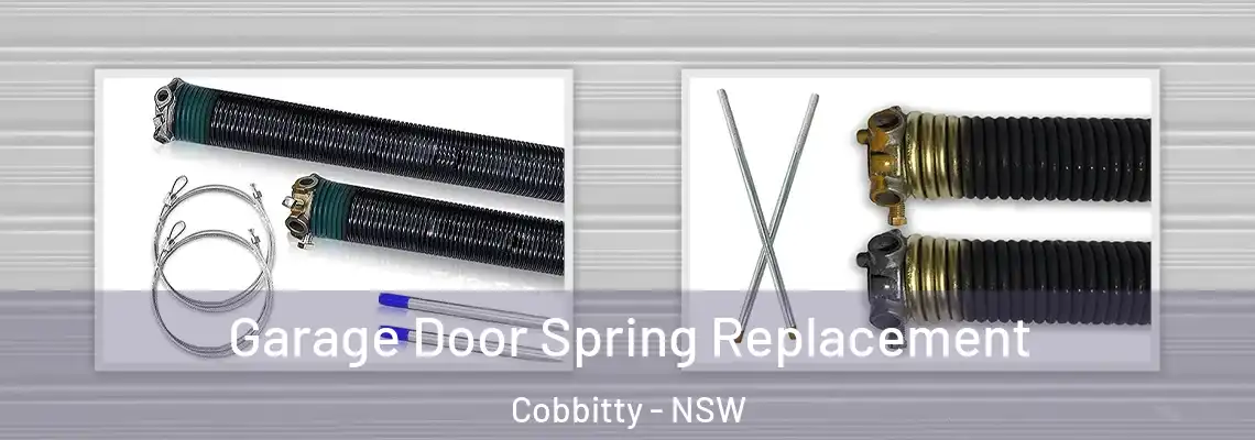 Garage Door Spring Replacement Cobbitty - NSW