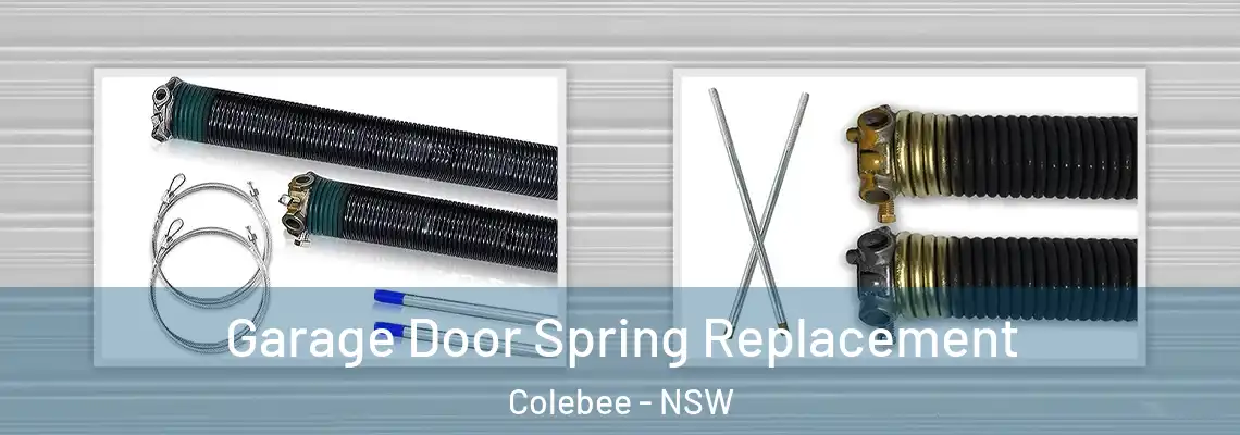 Garage Door Spring Replacement Colebee - NSW
