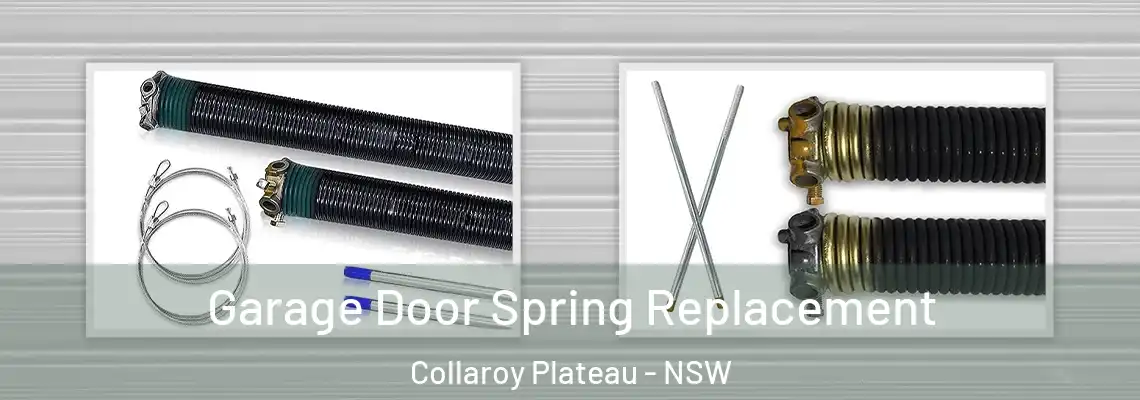 Garage Door Spring Replacement Collaroy Plateau - NSW