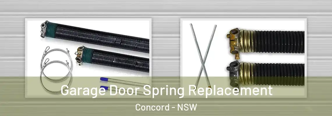 Garage Door Spring Replacement Concord - NSW