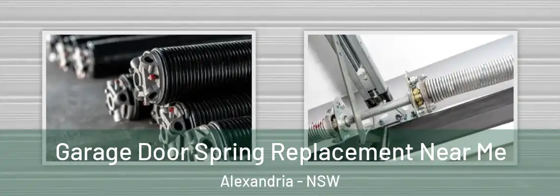 Garage Door Spring Replacement Near Me Alexandria - NSW