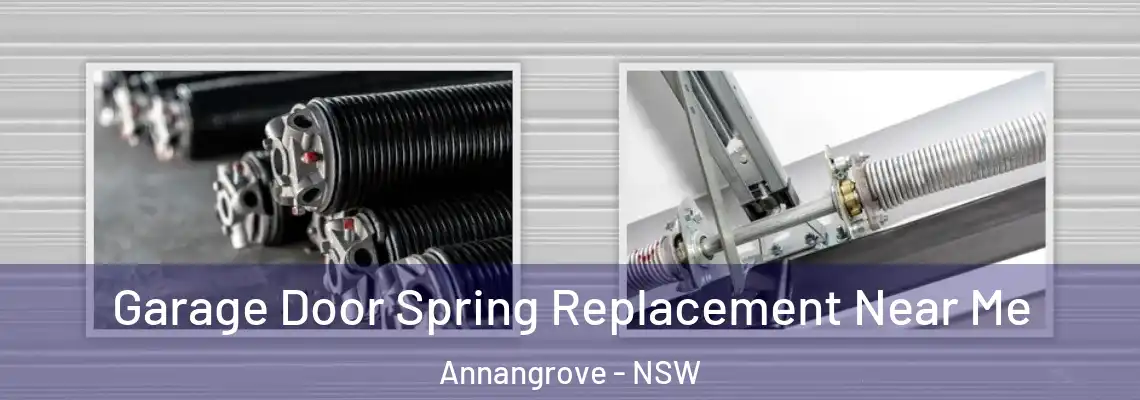Garage Door Spring Replacement Near Me Annangrove - NSW