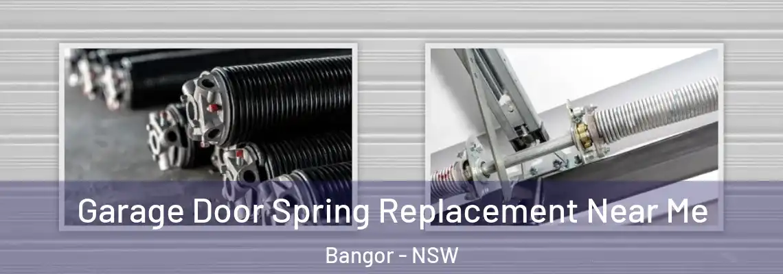 Garage Door Spring Replacement Near Me Bangor - NSW