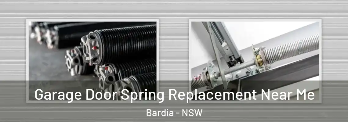 Garage Door Spring Replacement Near Me Bardia - NSW