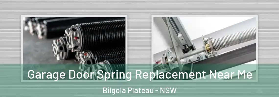 Garage Door Spring Replacement Near Me Bilgola Plateau - NSW
