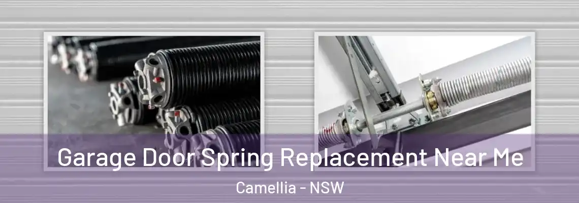 Garage Door Spring Replacement Near Me Camellia - NSW