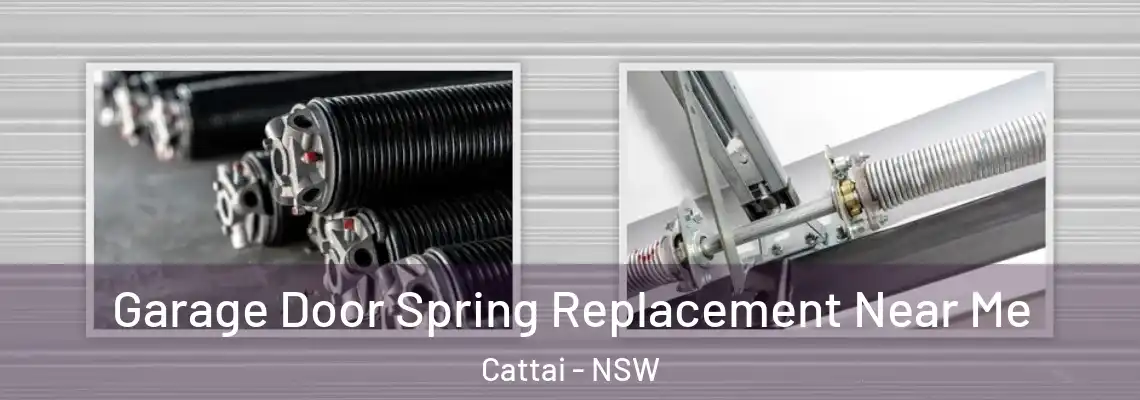 Garage Door Spring Replacement Near Me Cattai - NSW