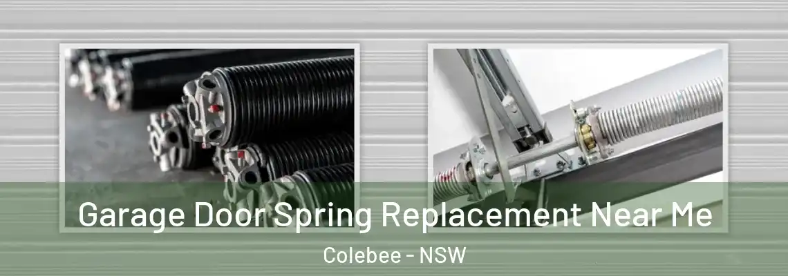 Garage Door Spring Replacement Near Me Colebee - NSW