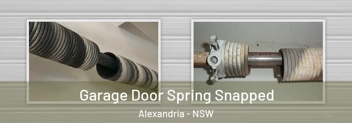 Garage Door Spring Snapped Alexandria - NSW