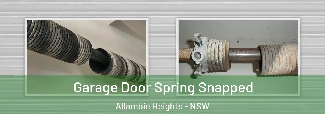 Garage Door Spring Snapped Allambie Heights - NSW