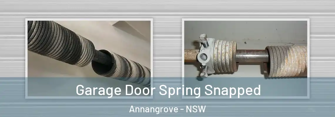 Garage Door Spring Snapped Annangrove - NSW