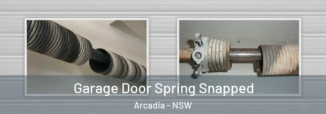 Garage Door Spring Snapped Arcadia - NSW