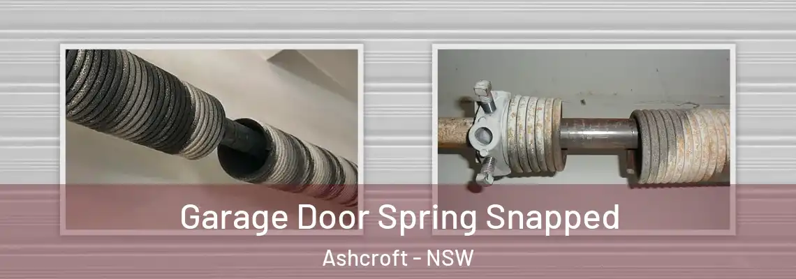 Garage Door Spring Snapped Ashcroft - NSW
