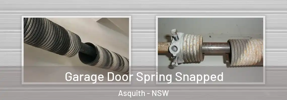 Garage Door Spring Snapped Asquith - NSW