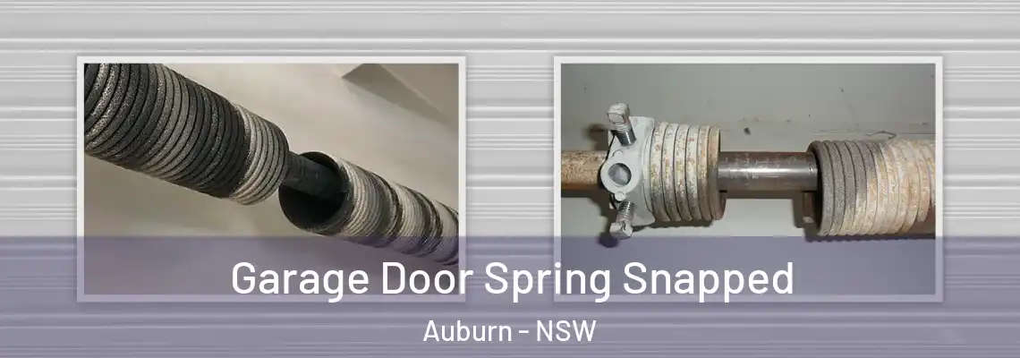 Garage Door Spring Snapped Auburn - NSW