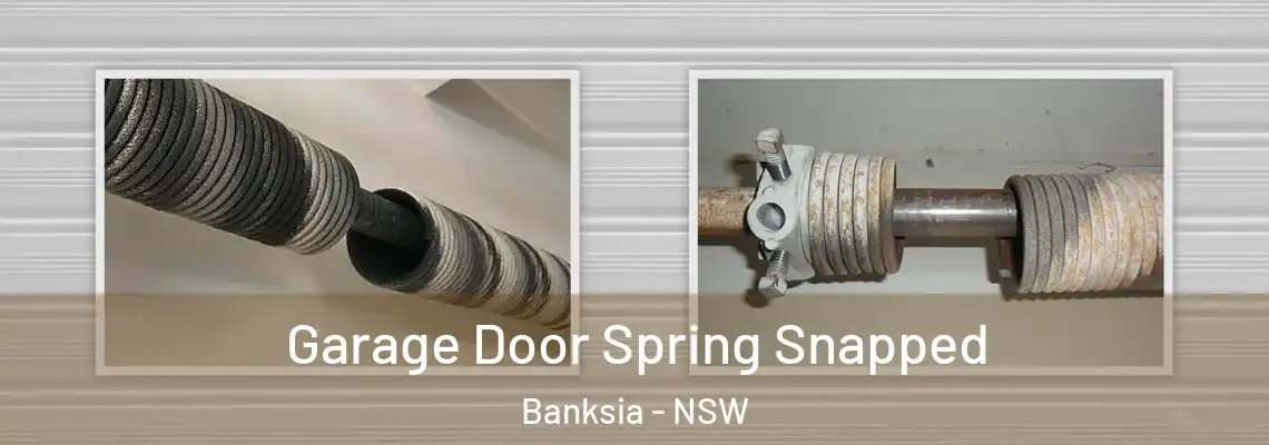 Garage Door Spring Snapped Banksia - NSW