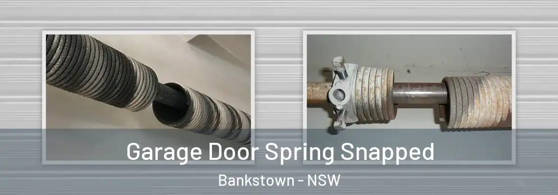 Garage Door Spring Snapped Bankstown - NSW