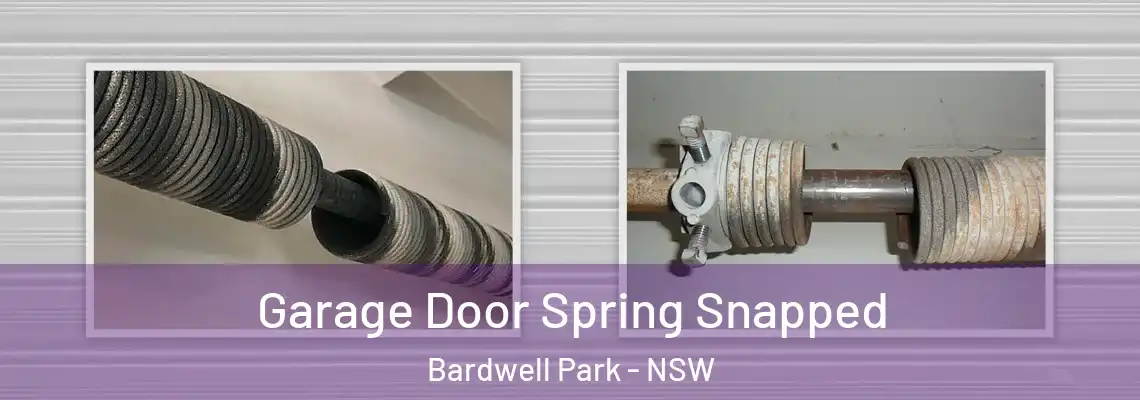 Garage Door Spring Snapped Bardwell Park - NSW