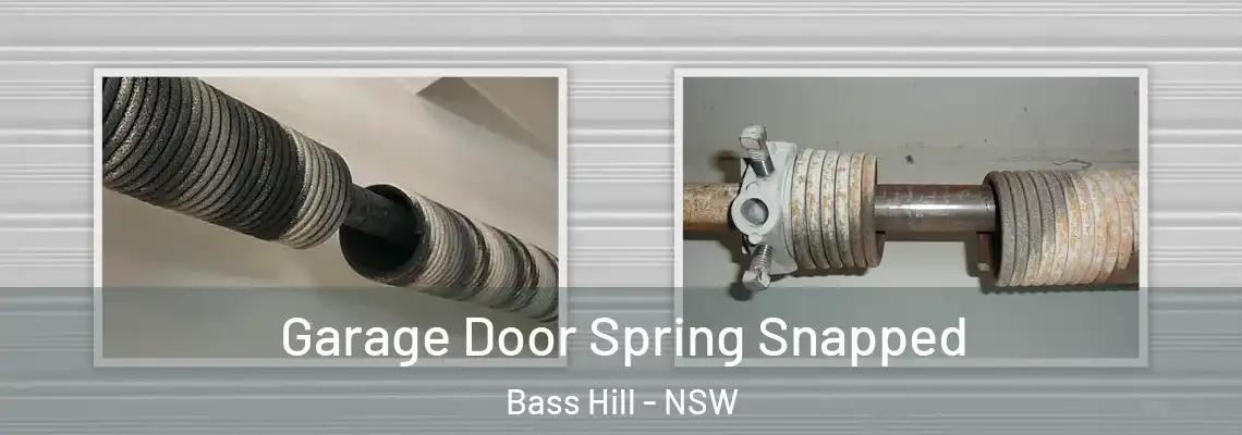 Garage Door Spring Snapped Bass Hill - NSW