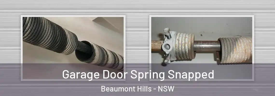 Garage Door Spring Snapped Beaumont Hills - NSW