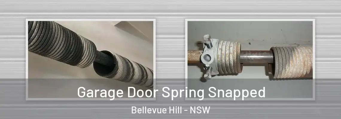 Garage Door Spring Snapped Bellevue Hill - NSW