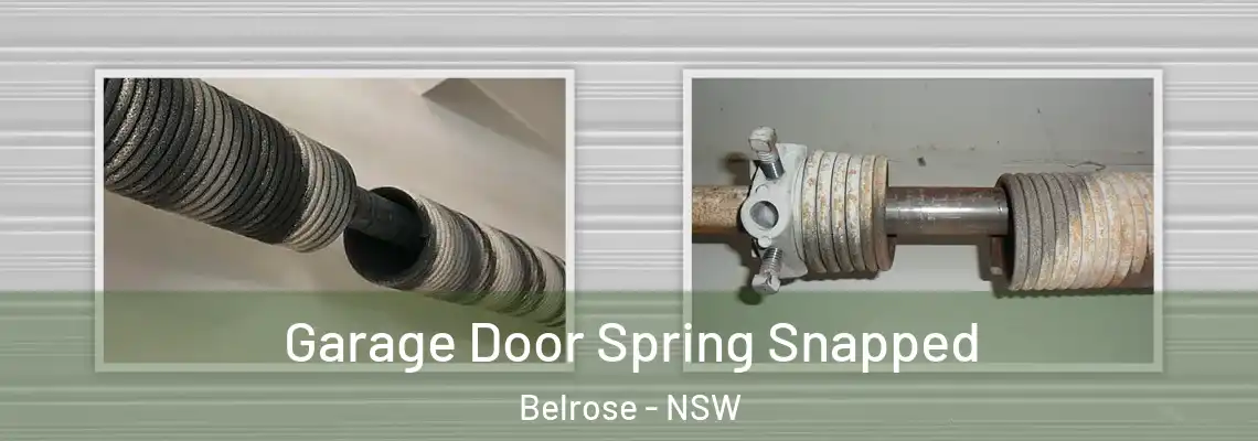 Garage Door Spring Snapped Belrose - NSW