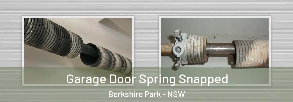 Garage Door Spring Snapped Berkshire Park - NSW