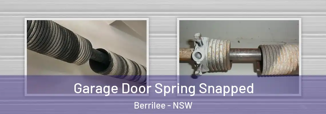 Garage Door Spring Snapped Berrilee - NSW