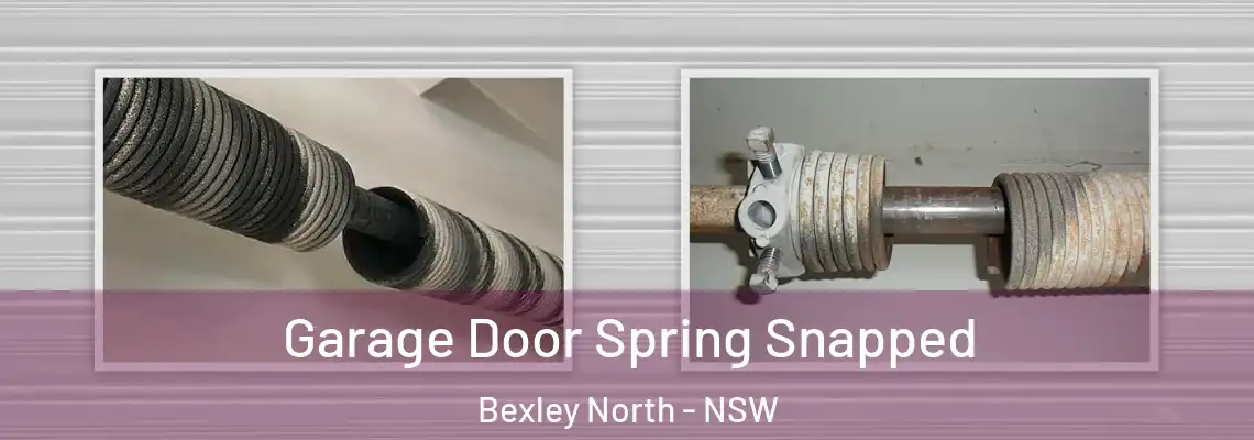 Garage Door Spring Snapped Bexley North - NSW