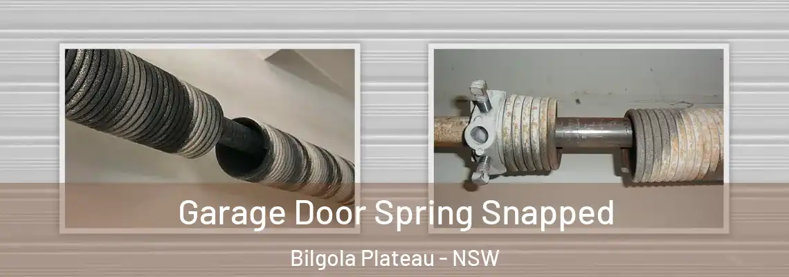 Garage Door Spring Snapped Bilgola Plateau - NSW