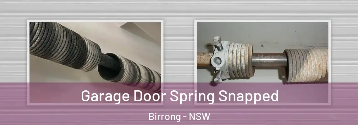 Garage Door Spring Snapped Birrong - NSW