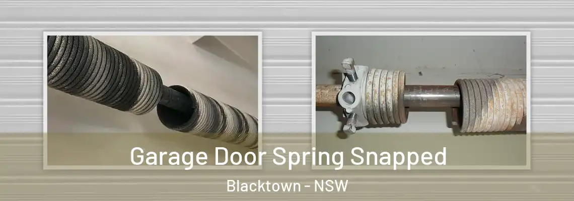 Garage Door Spring Snapped Blacktown - NSW