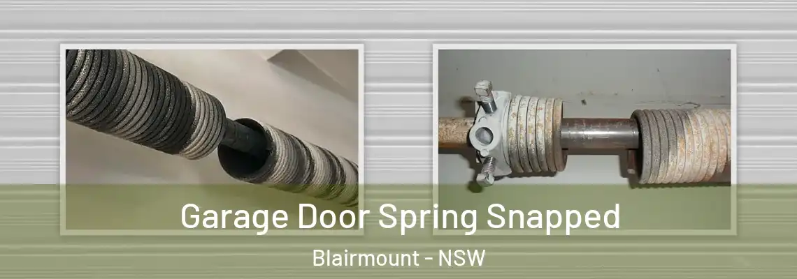 Garage Door Spring Snapped Blairmount - NSW
