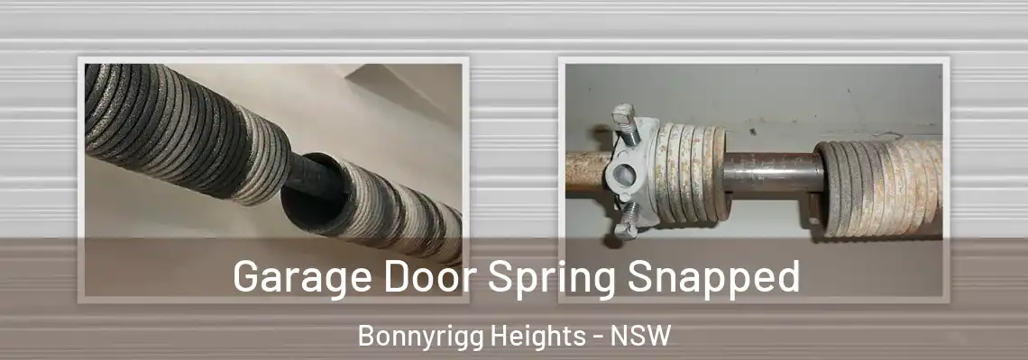 Garage Door Spring Snapped Bonnyrigg Heights - NSW
