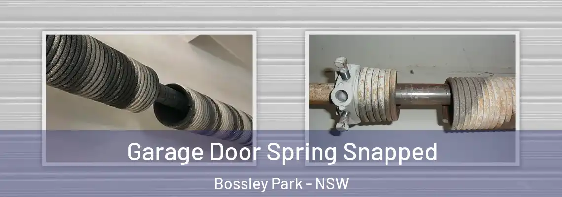 Garage Door Spring Snapped Bossley Park - NSW