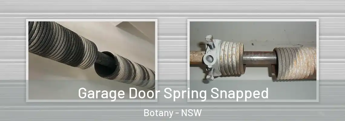 Garage Door Spring Snapped Botany - NSW