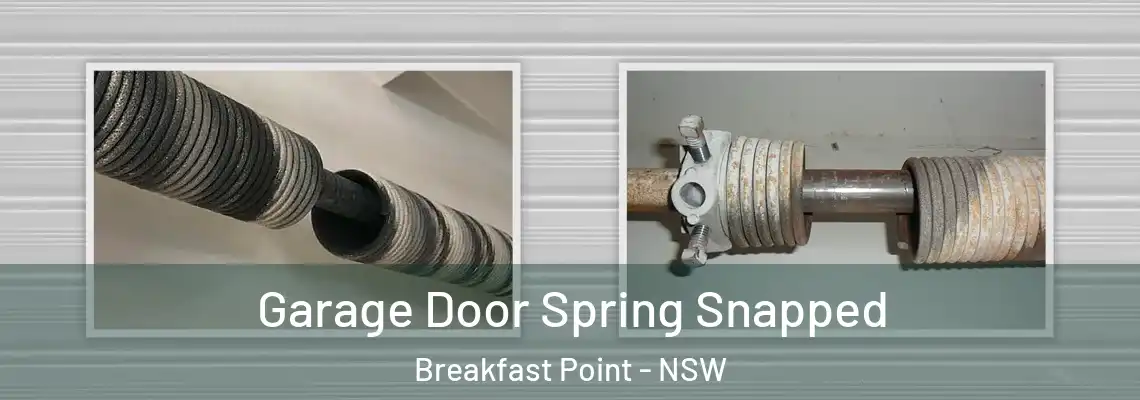 Garage Door Spring Snapped Breakfast Point - NSW