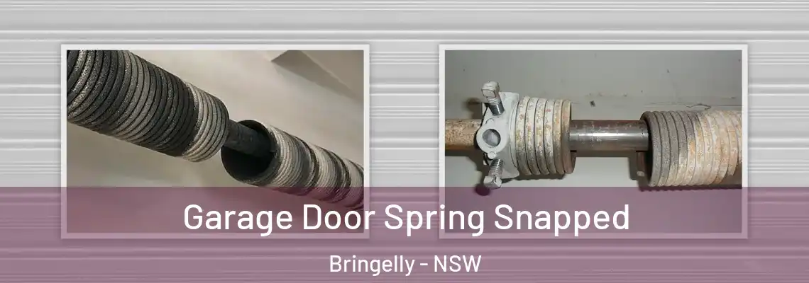  Garage Door Spring Snapped Bringelly - NSW