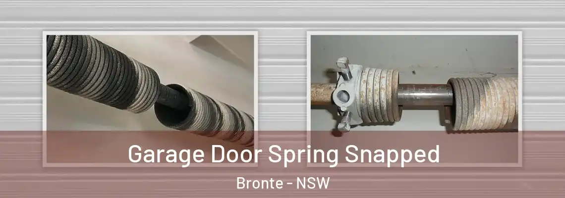 Garage Door Spring Snapped Bronte - NSW