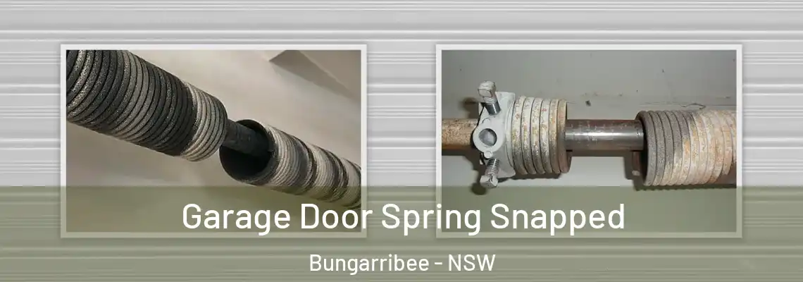 Garage Door Spring Snapped Bungarribee - NSW