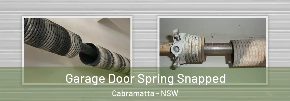 Garage Door Spring Snapped Cabramatta - NSW