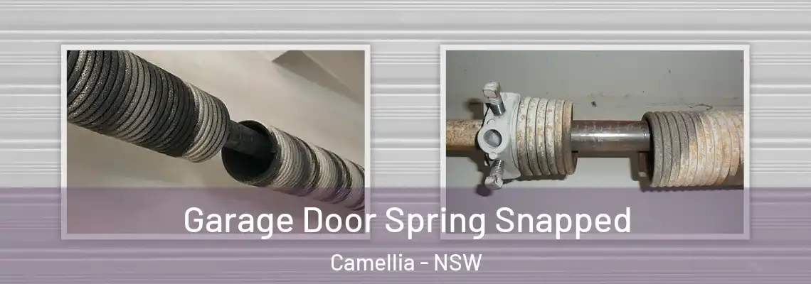 Garage Door Spring Snapped Camellia - NSW