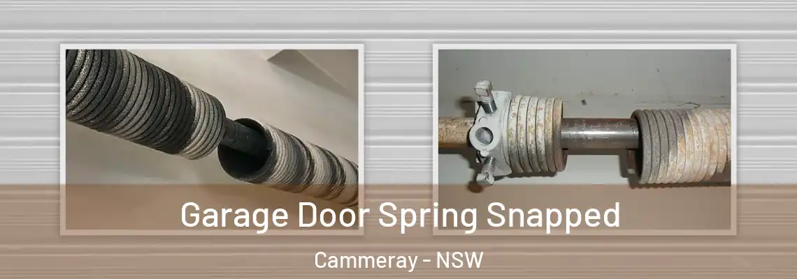 Garage Door Spring Snapped Cammeray - NSW