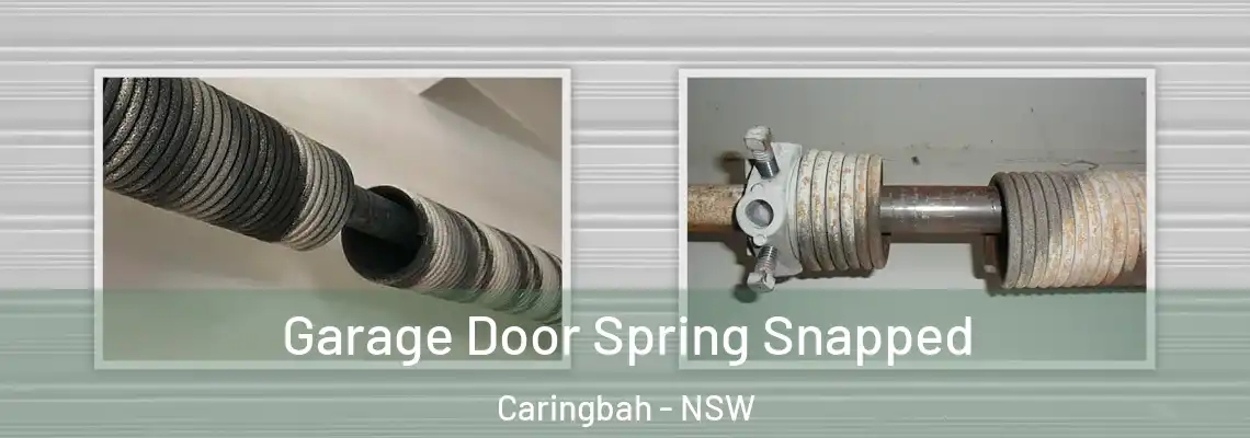 Garage Door Spring Snapped Caringbah - NSW