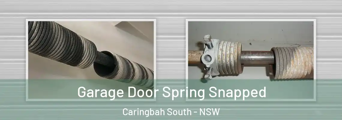 Garage Door Spring Snapped Caringbah South - NSW