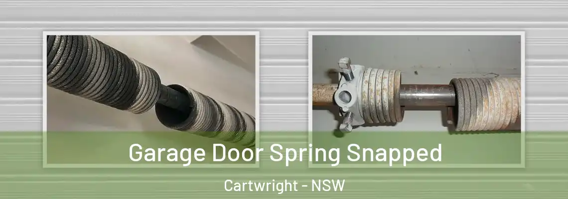 Garage Door Spring Snapped Cartwright - NSW