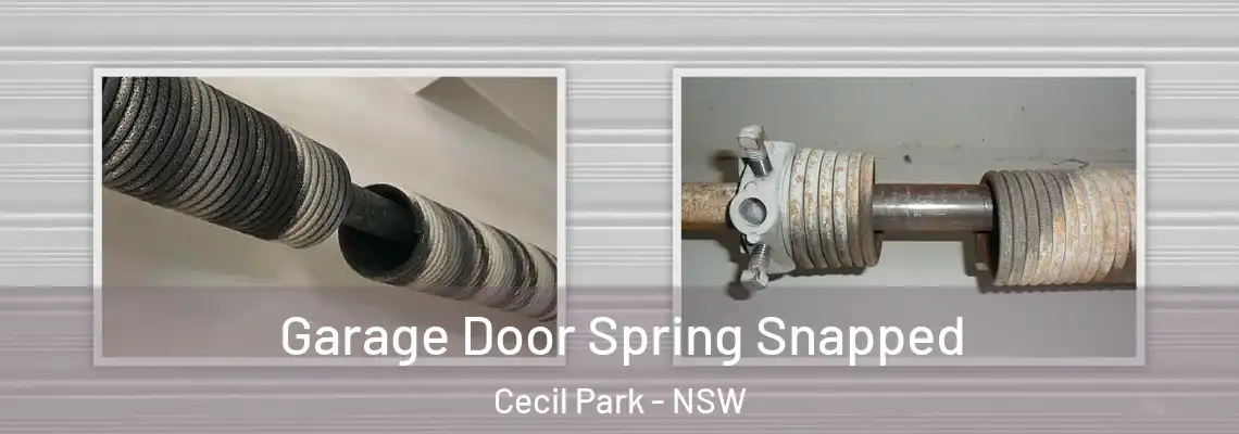Garage Door Spring Snapped Cecil Park - NSW